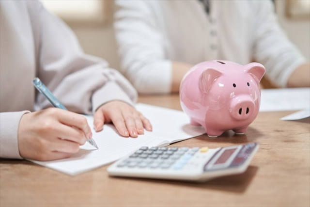 Insurance_pig